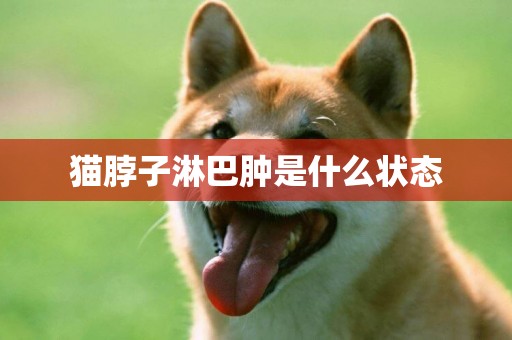 貓脖子淋巴腫是什么狀態