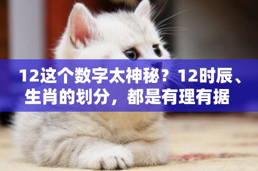 12這個數字太神秘？12時辰、生肖的劃分，都是有理有據 