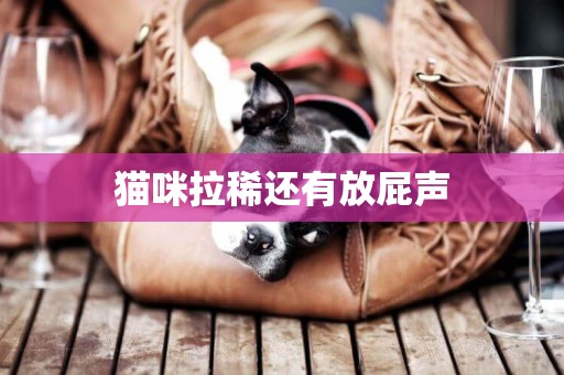 貓咪拉稀還有放屁聲