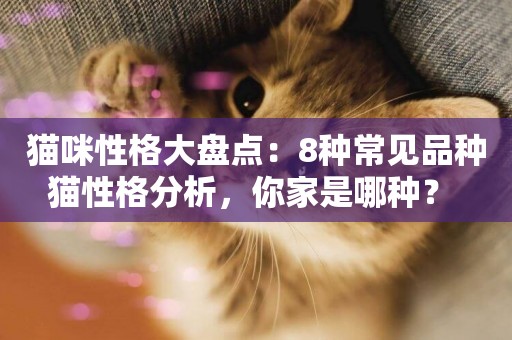 貓咪性格大盤點：8種常見品種貓性格分析，你家是哪種？ 