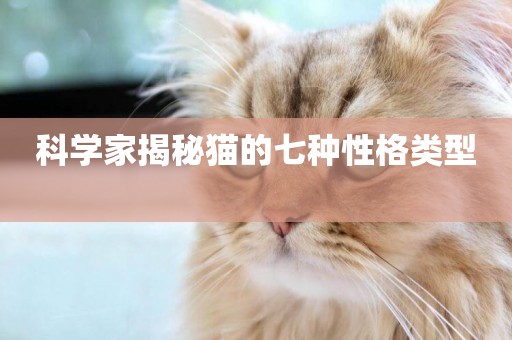 科學家揭秘貓的七種性格類型 