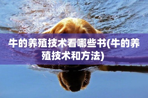 牛的養殖技術看哪些書(牛的養殖技術和方法) 