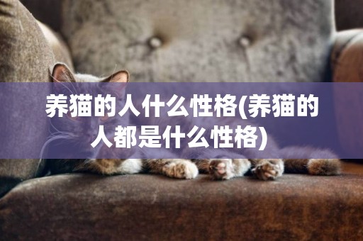 養貓的人什么性格(養貓的人都是什么性格) 