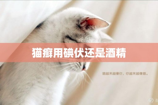 貓癬用碘伏還是酒精
