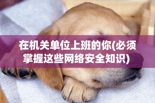 在機關單位上班的你(必須掌握這些網絡安全知識) 