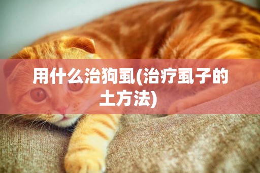 用什么治狗虱(治療虱子的土方法) 