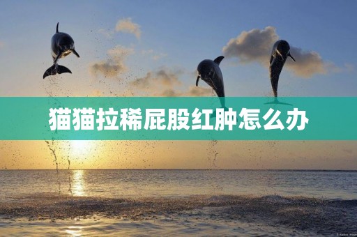 貓貓拉稀屁股紅腫怎么辦