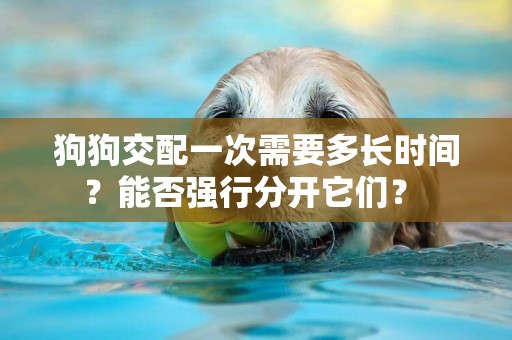 狗狗交配一次需要多長時間？能否強行分開它們？ 