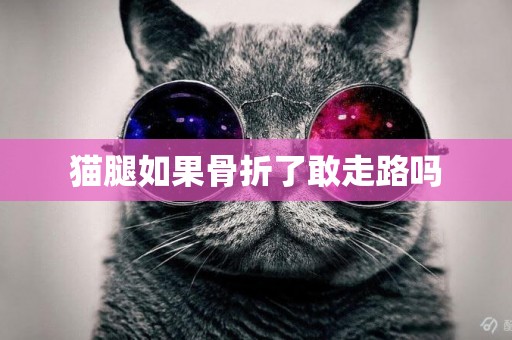 貓腿如果骨折了敢走路嗎