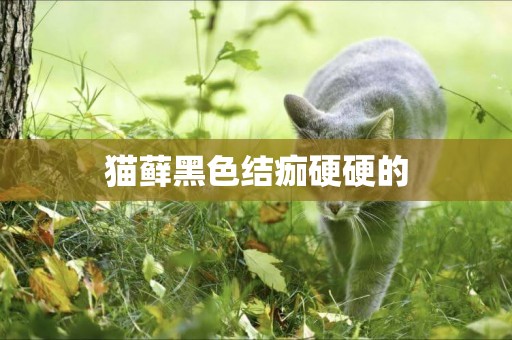 貓蘚黑色結痂硬硬的