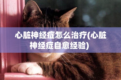 心臟神經癥怎么治療(心臟神經癥自愈經驗) 