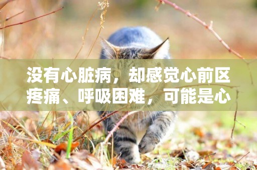 沒有心臟病，卻感覺心前區疼痛、呼吸困難，可能是心臟神經官能癥 