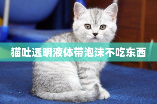 貓吐透明液體帶泡沫不吃東西