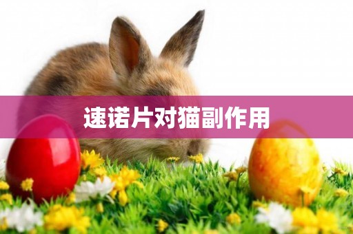 速諾片對貓副作用