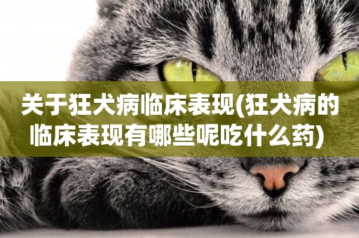 關于狂犬病臨床表現(狂犬病的臨床表現有哪些呢吃什么藥) 