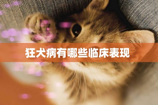 狂犬病有哪些臨床表現 