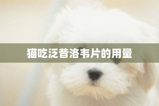 貓吃泛昔洛韋片的用量