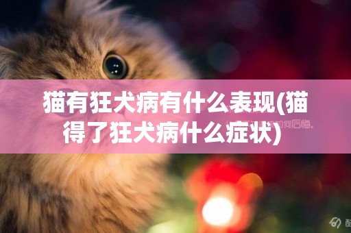 貓有狂犬病有什么表現(貓得了狂犬病什么癥狀) 