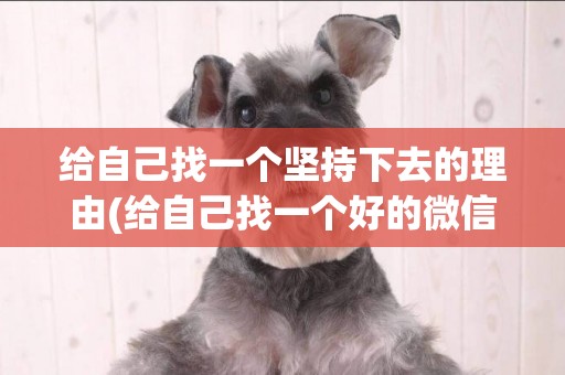 給自己找一個堅持下去的理由(給自己找一個好的微信名) 