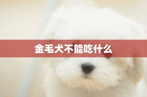 金毛犬不能吃什么