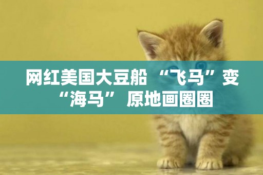 網紅美國大豆船 “飛馬”變“海馬” 原地畫圈圈 
