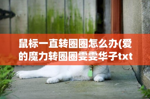 鼠標一直轉圈圈怎么辦(愛的魔力轉圈圈雯雯華子txt下載) 