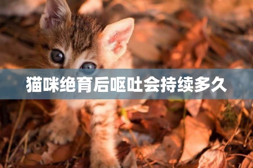 貓咪絕育后嘔吐會持續多久