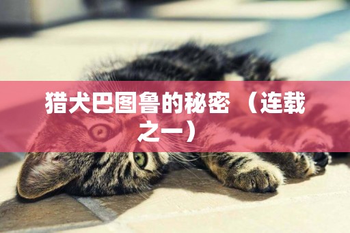 獵犬巴圖魯的秘密 （連載之一） 