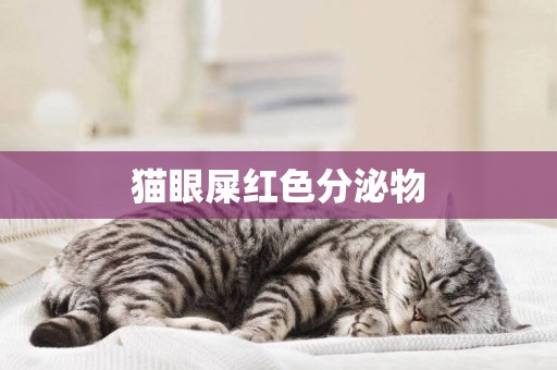 貓眼屎紅色分泌物