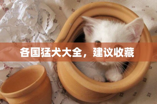 各國猛犬大全，建議收藏 