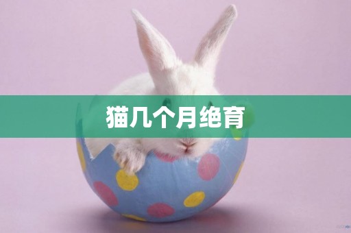 貓幾個月絕育