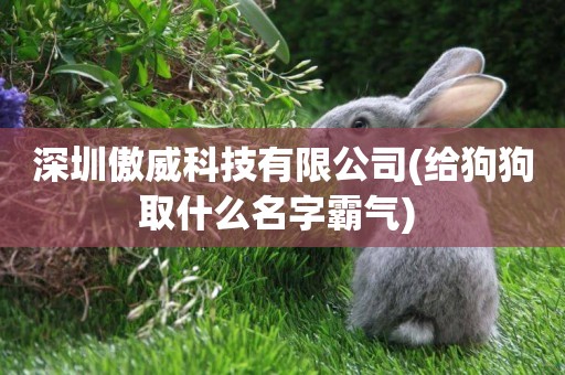 深圳傲威科技有限公司(給狗狗取什么名字霸氣) 