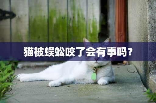 貓被蜈蚣咬了會有事嗎？