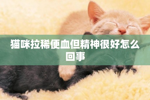 貓咪拉稀便血但精神很好怎么回事