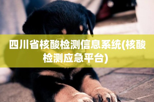 四川省核酸檢測信息系統(核酸檢測應急平臺) 