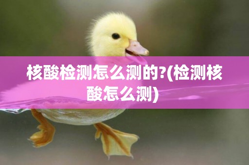 核酸檢測怎么測的?(檢測核酸怎么測) 