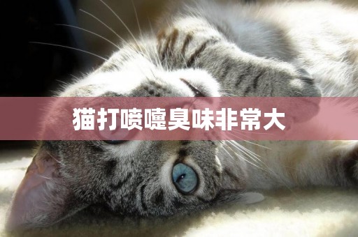 貓打噴嚏臭味非常大