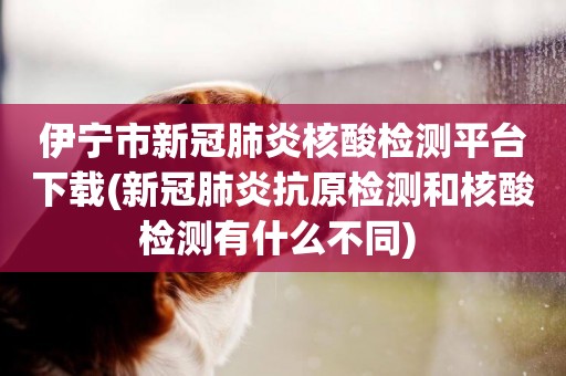 伊寧市新冠肺炎核酸檢測平臺下載(新冠肺炎抗原檢測和核酸檢測有什么不同) 