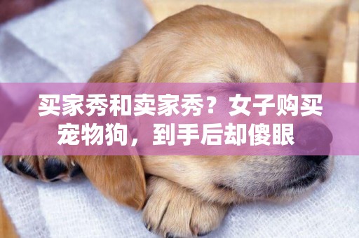 買家秀和賣家秀？女子購買寵物狗，到手后卻傻眼 