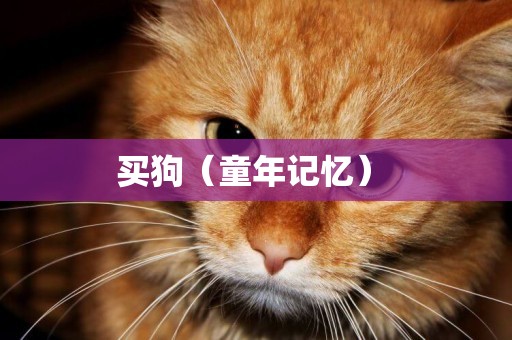 買狗（童年記憶） 