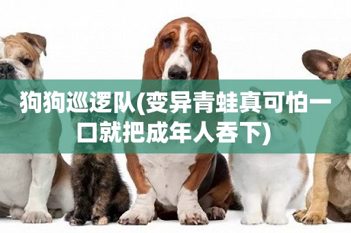 狗狗巡邏隊(變異青蛙真可怕一口就把成年人吞下) 
