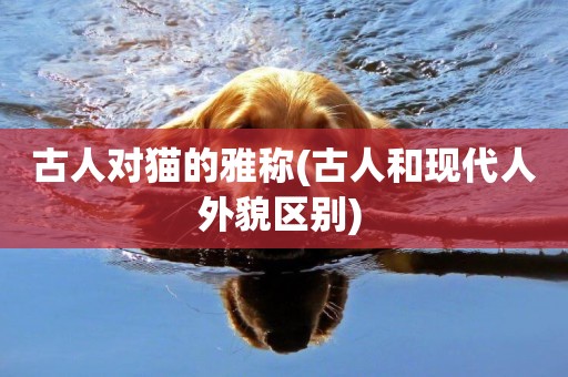 古人對貓的雅稱(古人和現代人外貌區別) 