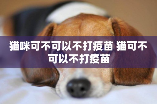 貓咪可不可以不打疫苗 貓可不可以不打疫苗