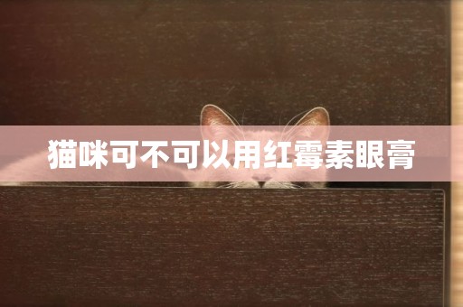 貓咪可不可以用紅霉素眼膏