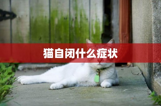 貓自閉什么癥狀