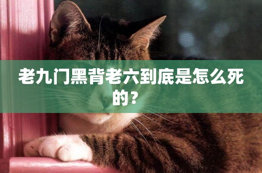 老九門黑背老六到底是怎么死的？ 