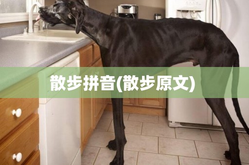散步拼音(散步原文) 