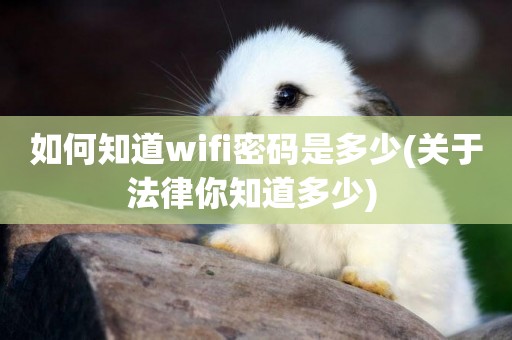如何知道wifi密碼是多少(關于法律你知道多少) 