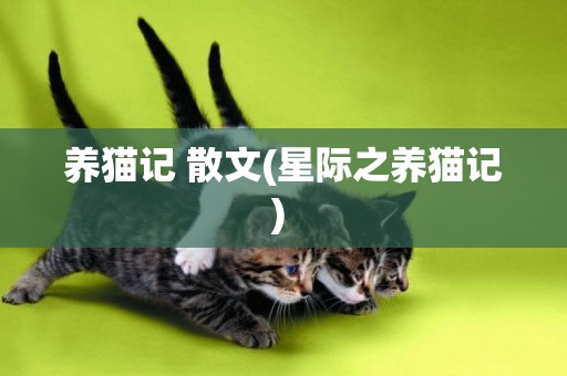 養貓記 散文(星際之養貓記) 
