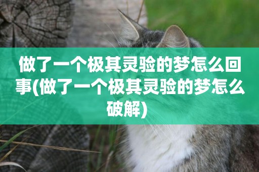 做了一個極其靈驗的夢怎么回事(做了一個極其靈驗的夢怎么破解) 